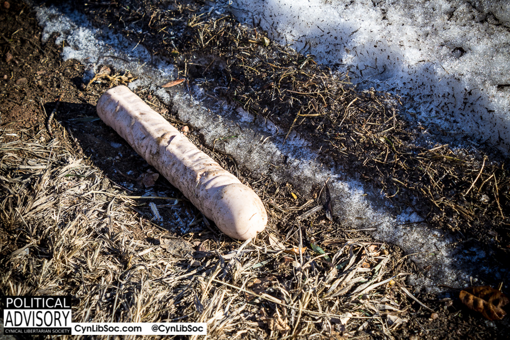 Someone dropped their dildo by the sidewalk.